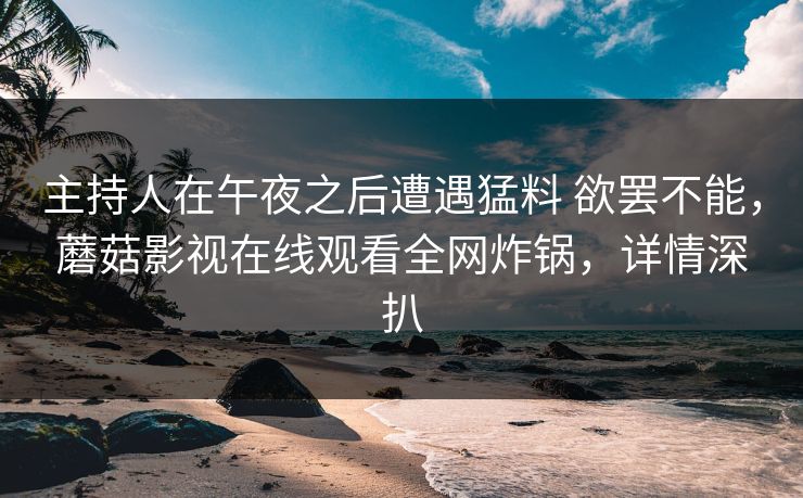 主持人在午夜之后遭遇猛料 欲罢不能，蘑菇影视在线观看全网炸锅，详情深扒