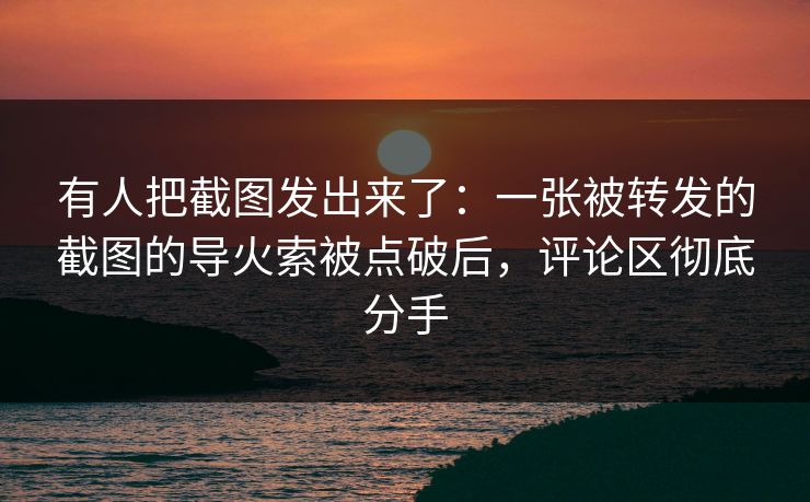 有人把截图发出来了：一张被转发的截图的导火索被点破后，评论区彻底分手