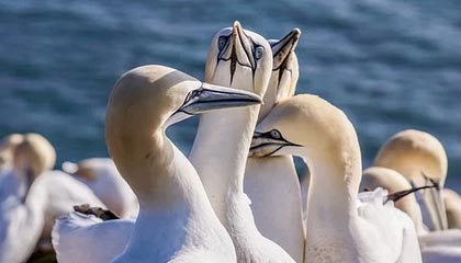 黑料深度揭秘：吃瓜爆料风波背后，当事人在公司会议室的角色彻底令人意外