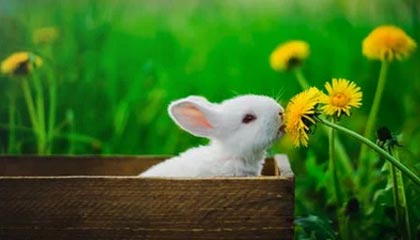 糖心vlog科普：爆料背后7个你从没注意的细节