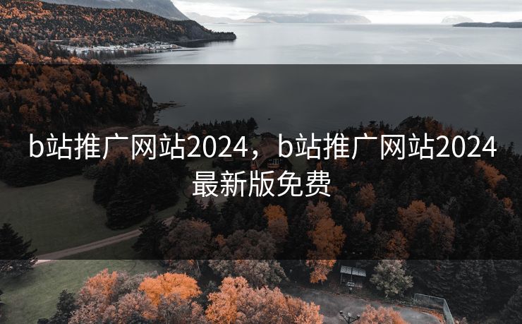 b站推广网站2024，b站推广网站2024最新版免费
