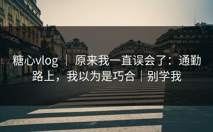 糖心vlog ｜ 原来我一直误会了：通勤路上，我以为是巧合｜别学我